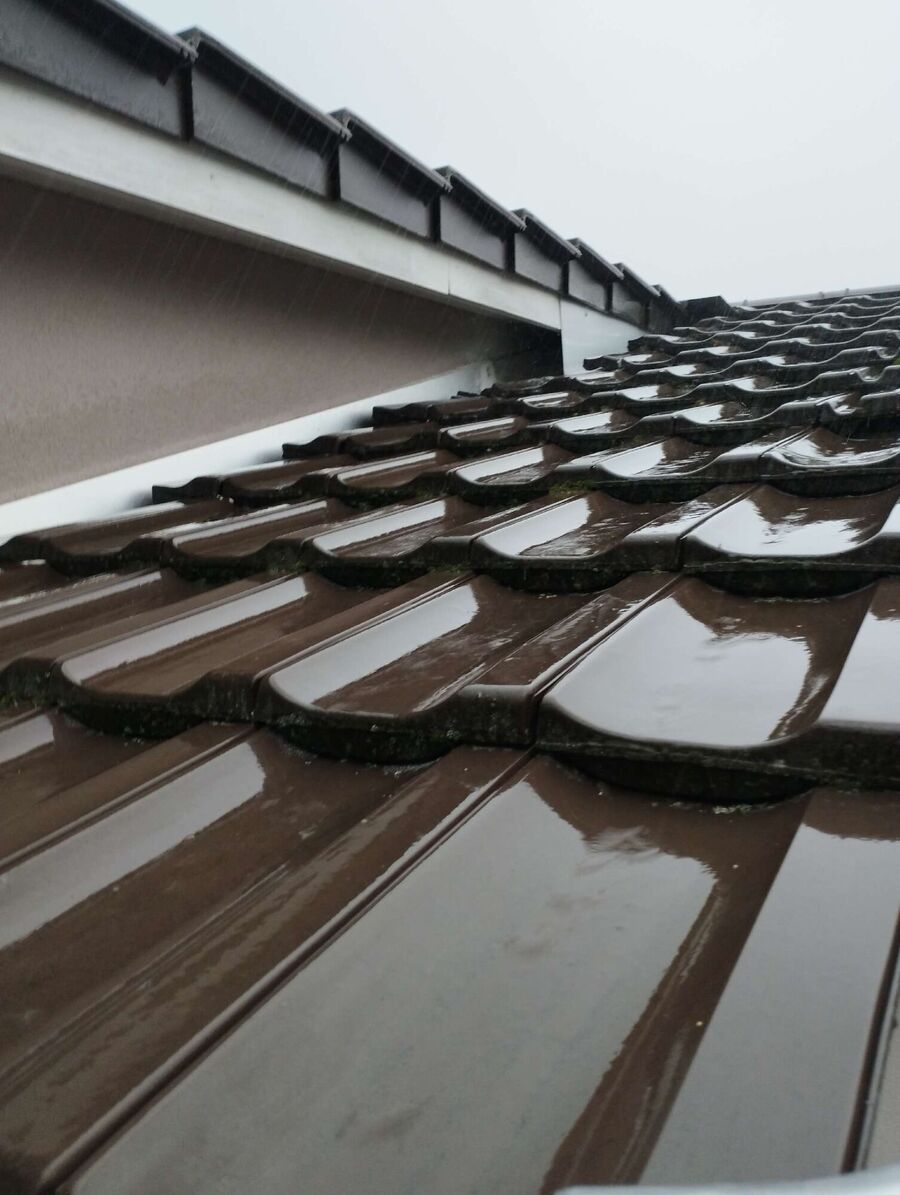 ruche abeille maison que faire