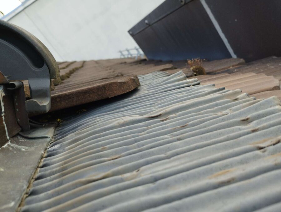 nid d abeille que faire