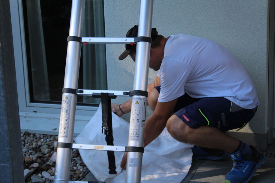  Bienennest entfernen