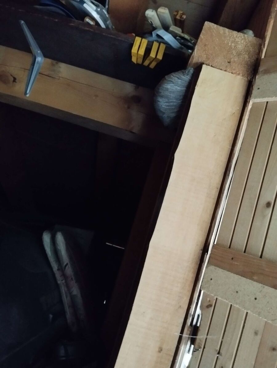 essaim d abeille enlevement