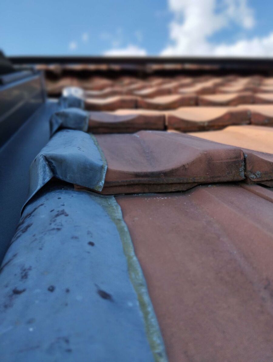 ruche abeille maison que faire