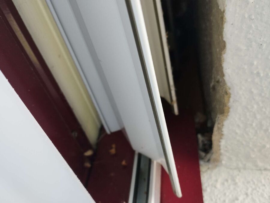 nid d abeille que faire