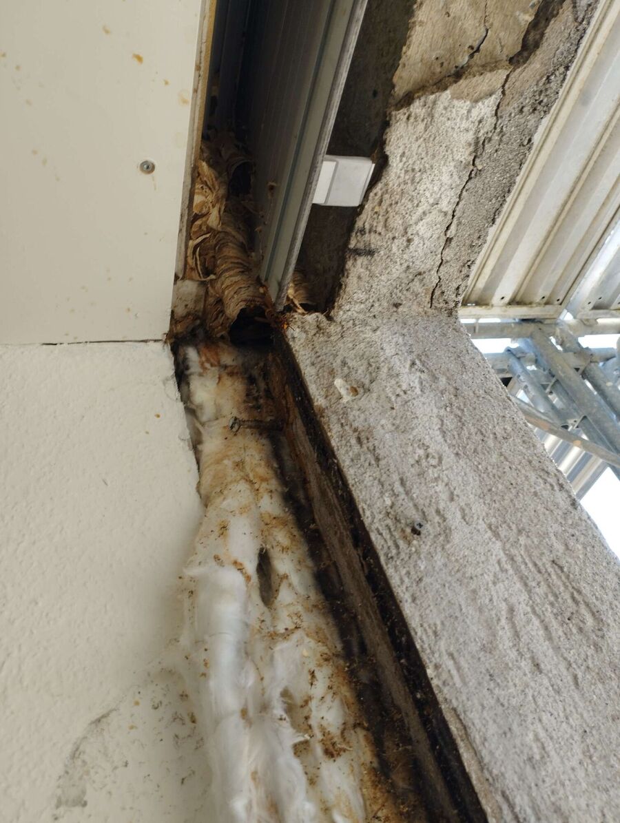 nid d abeille que faire