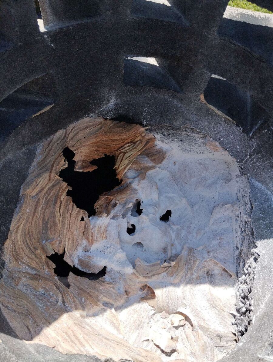 essaim d abeille enlevement