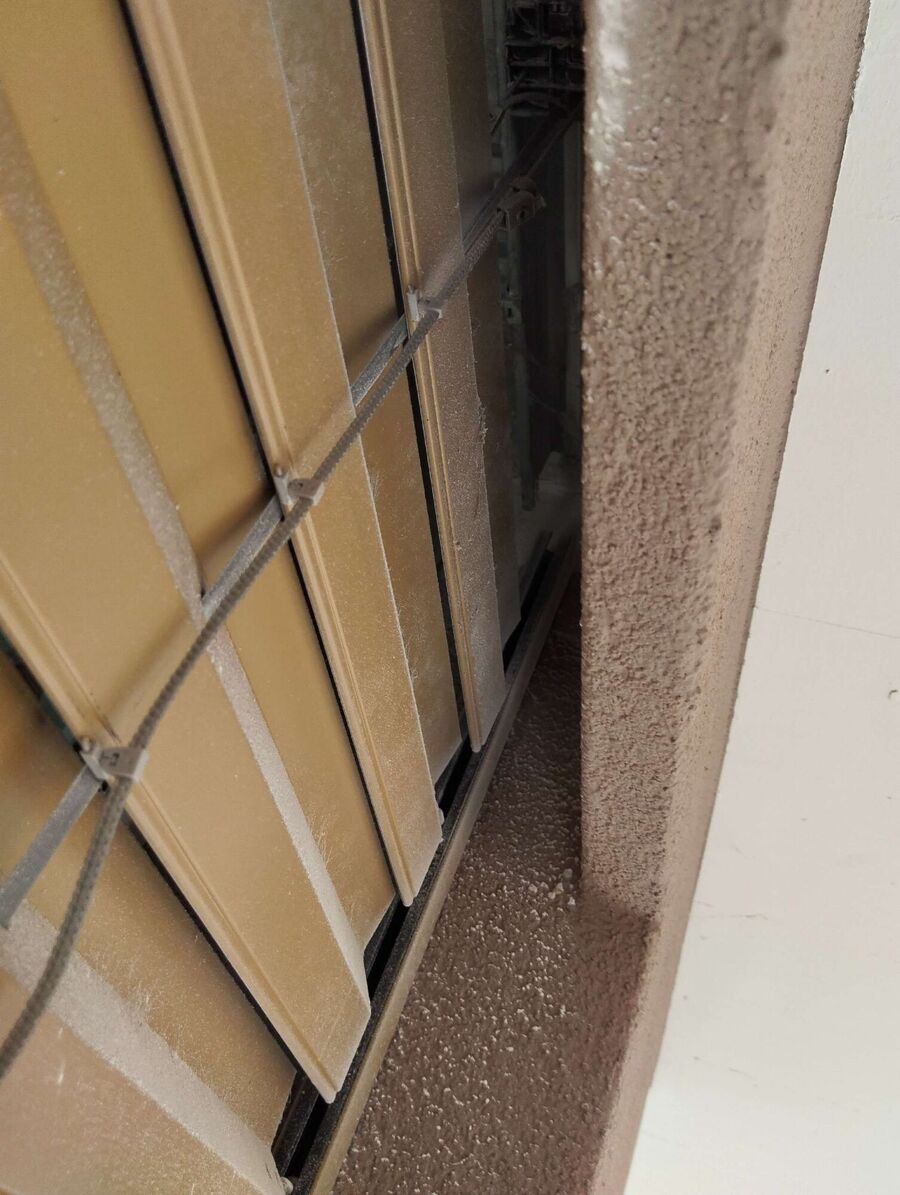 ruche abeille maison que faire