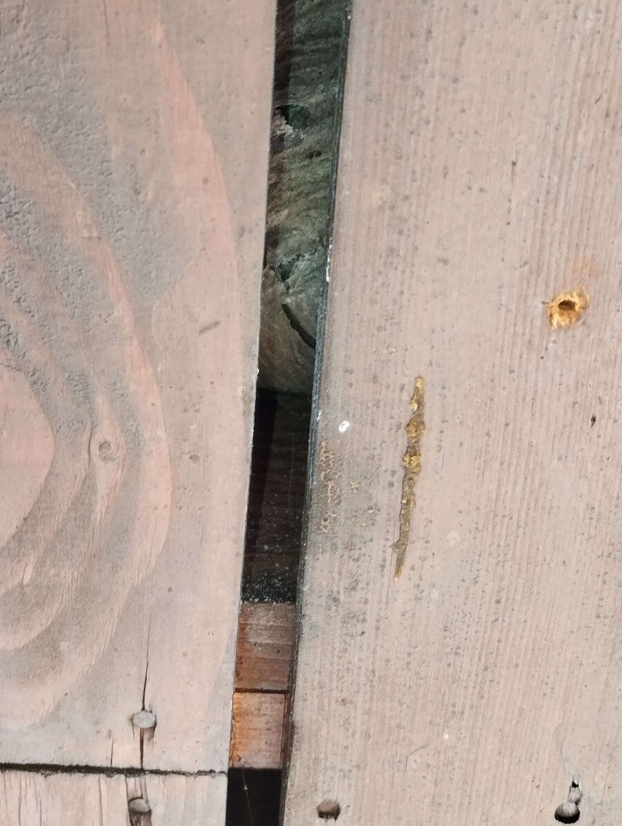 nid d abeille que faire