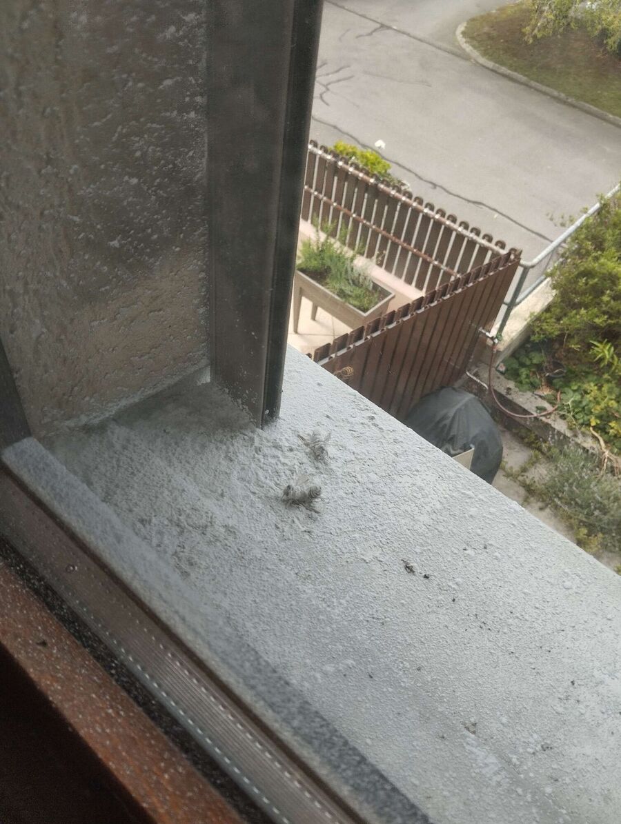 enlever un nid d abeille