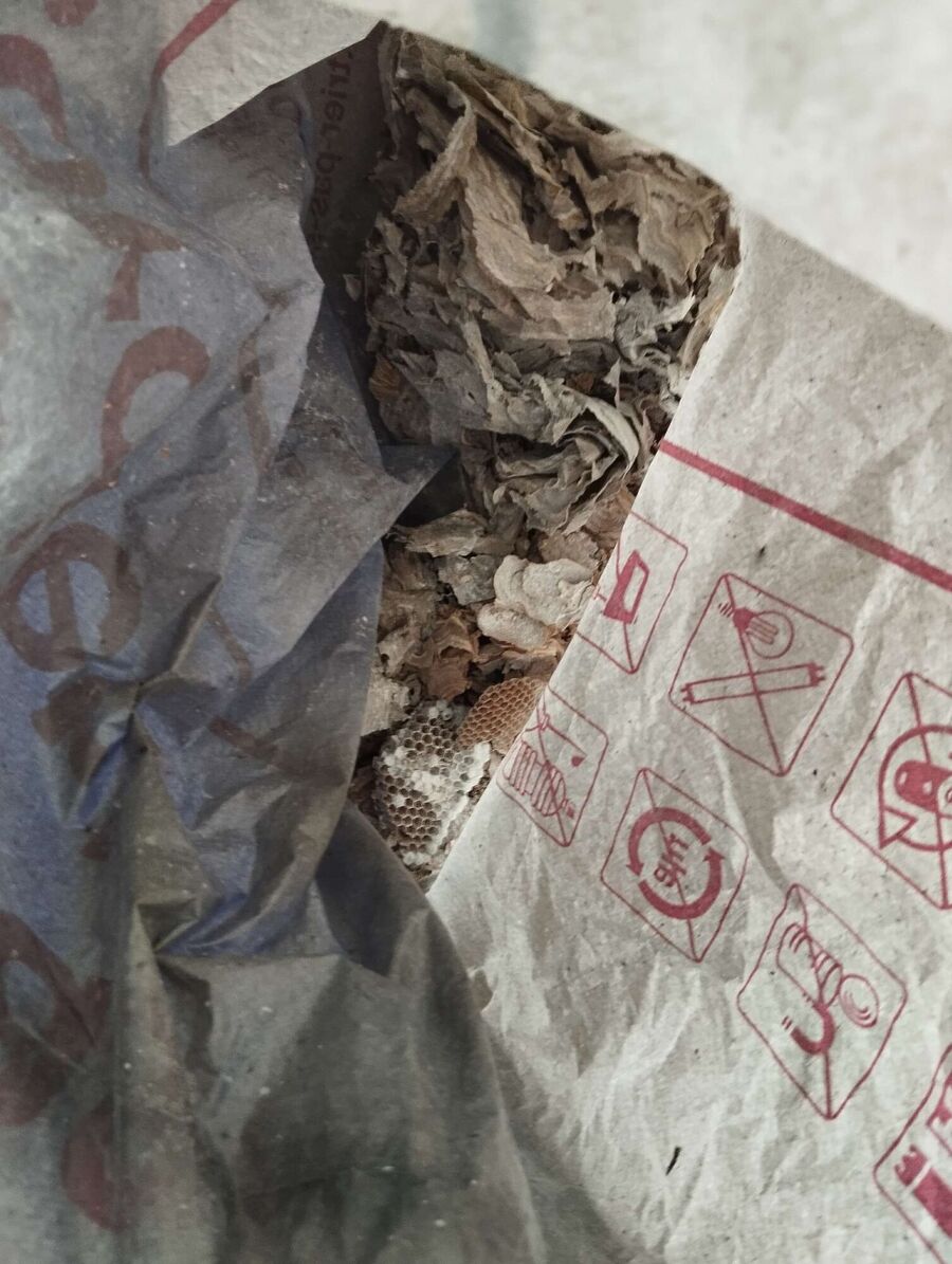 nid d abeille que faire