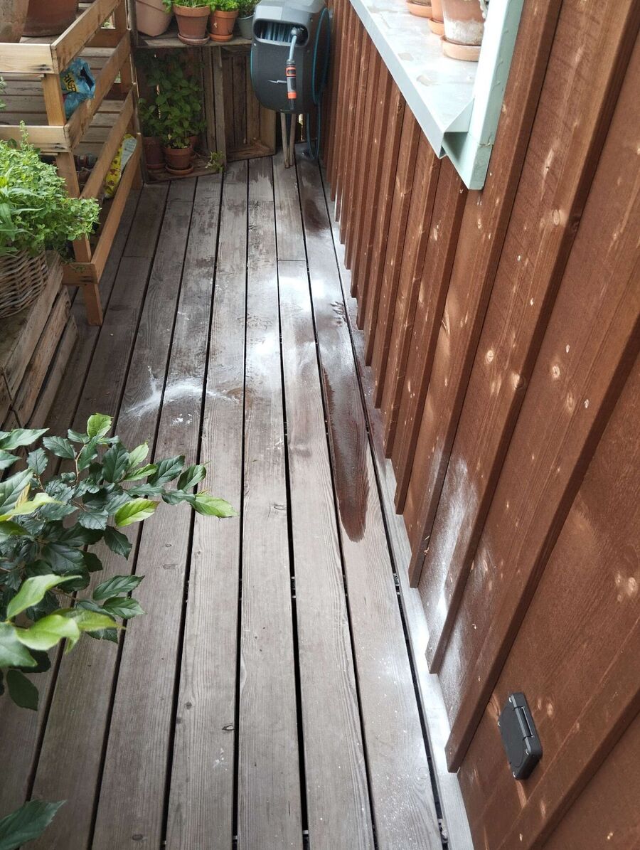 ruche abeille maison que faire