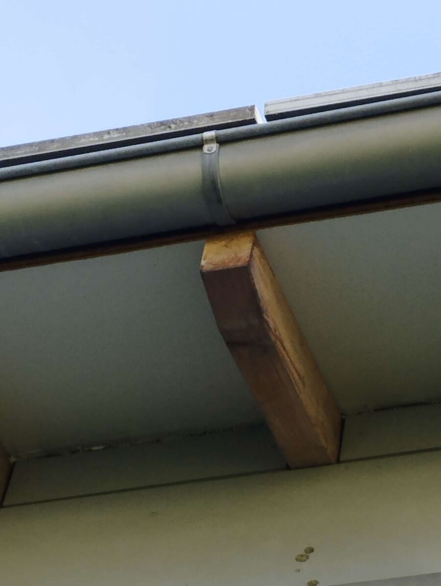 nid d abeille que faire