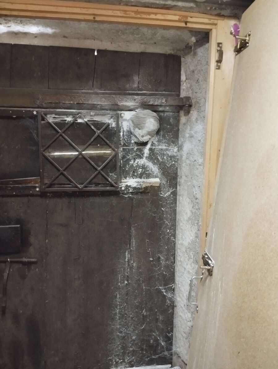 essaim d abeille enlevement