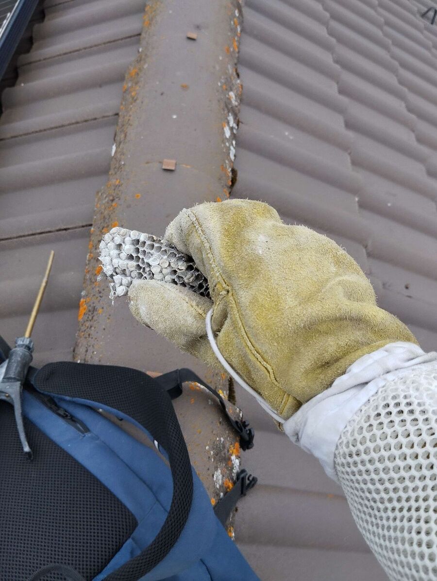 enlever un nid d abeille