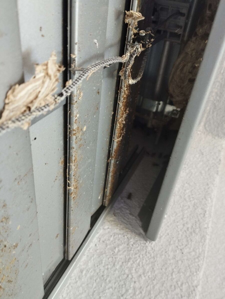 nid d abeille que faire