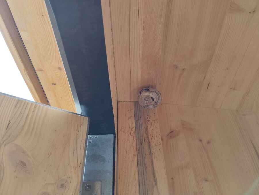 enlever un nid d abeille