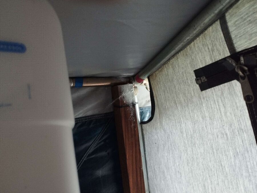 nid d abeille que faire