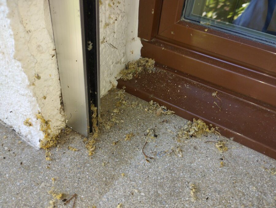 enlever un nid d abeille