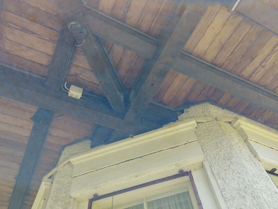 ruche abeille maison que faire