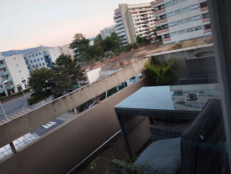 essaim d abeille enlevement