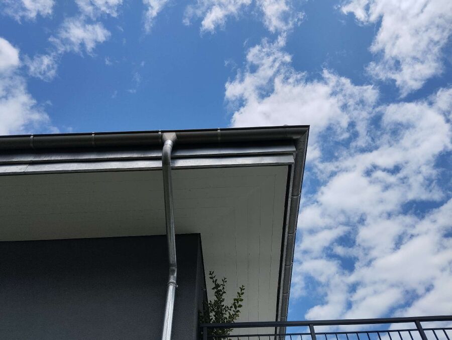 ruche abeille maison que faire