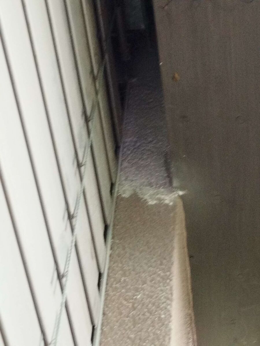 essaim d abeille enlevement