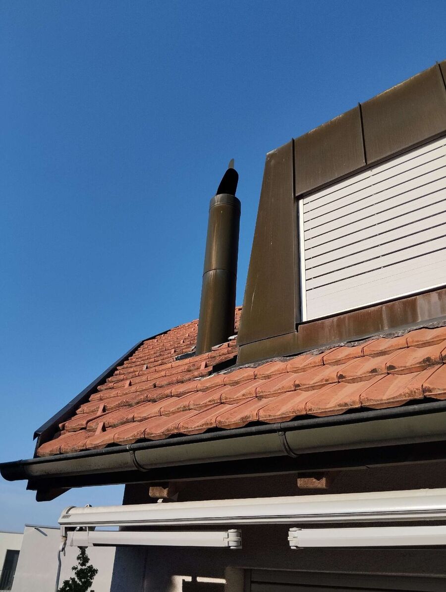 essaim d abeille enlevement