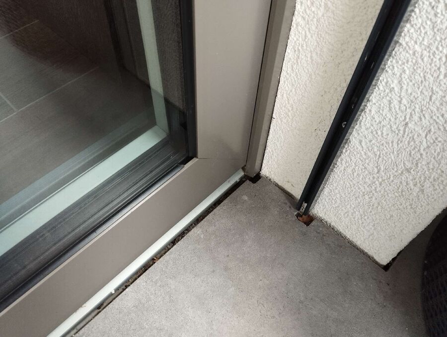 essaim d abeille enlevement