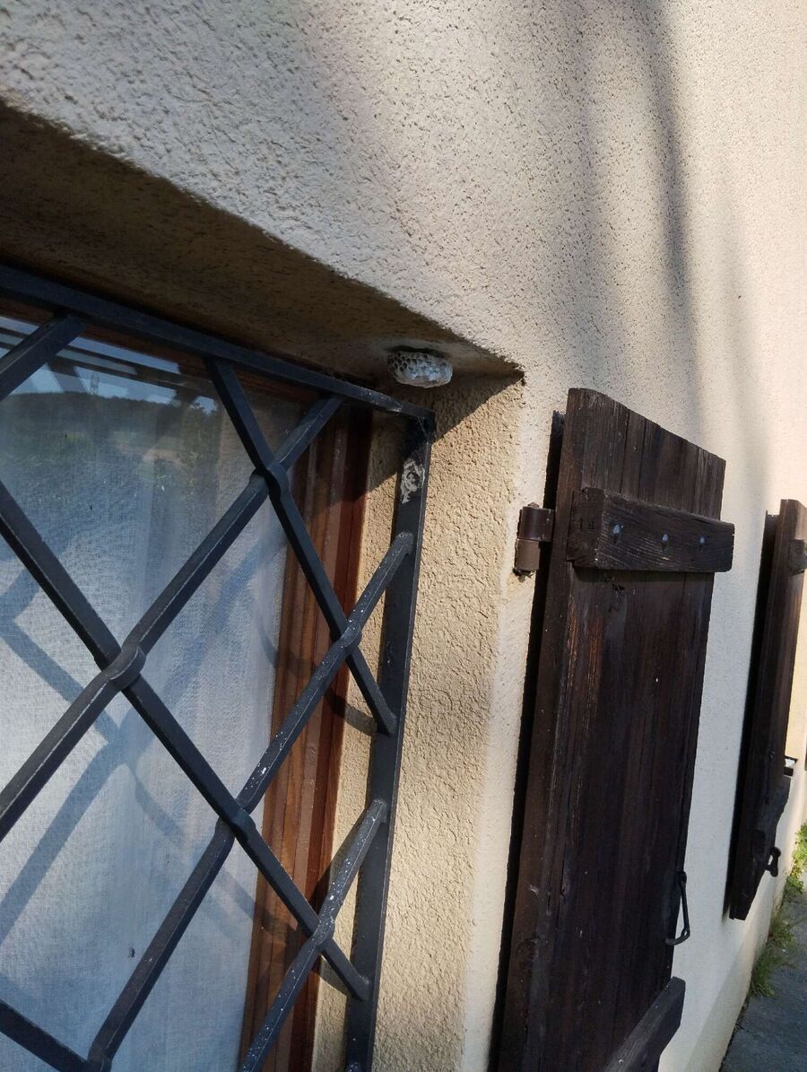 enlever un nid d abeille