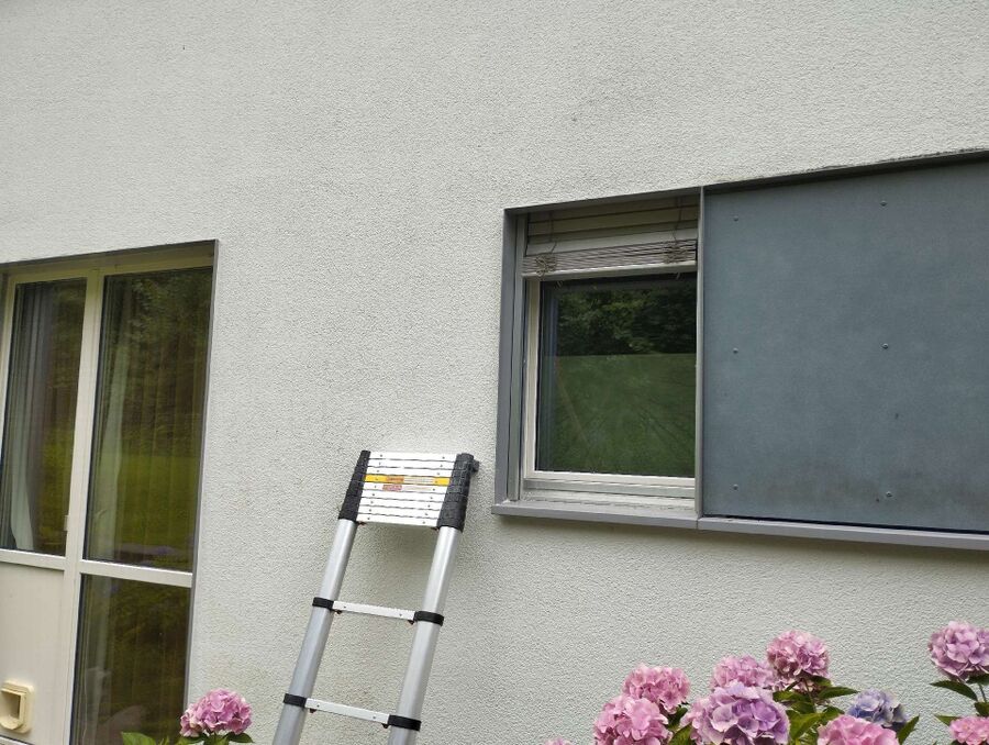 essaim d abeille enlevement