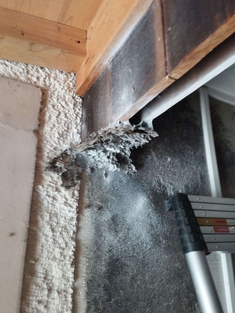 ruche abeille maison que faire