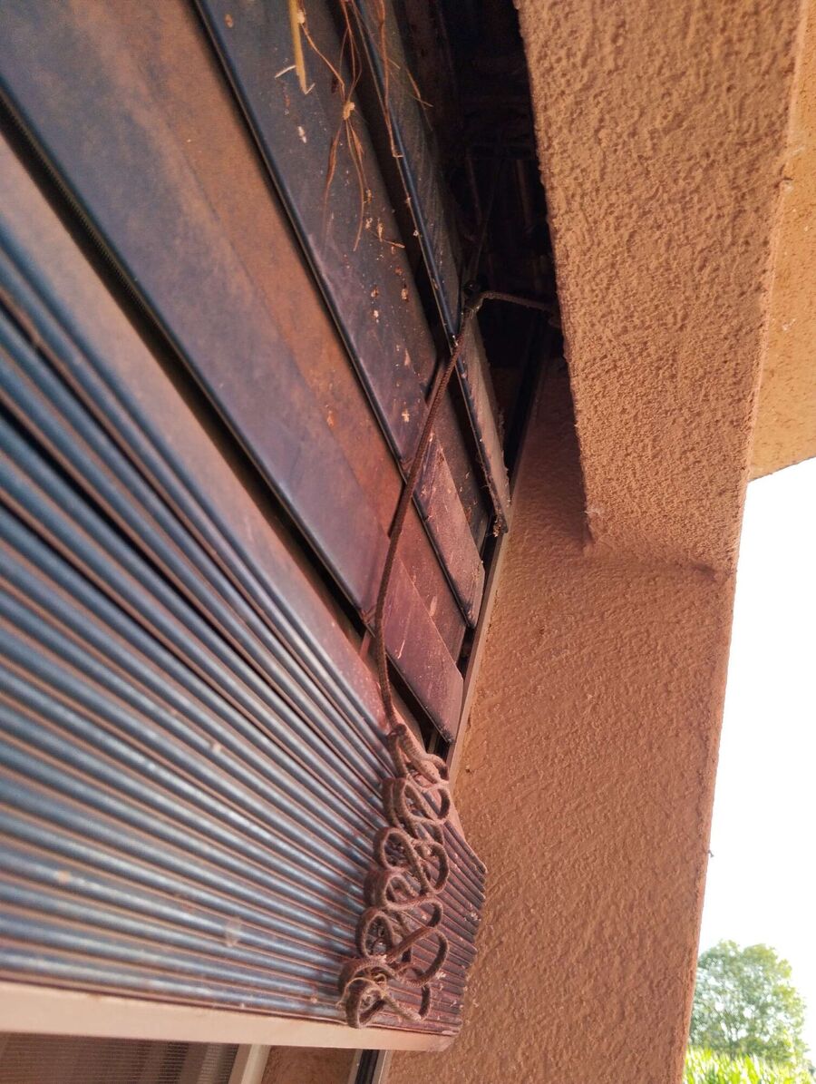 enlever un nid d abeille