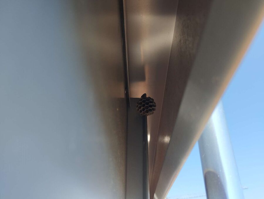 nid d abeille que faire