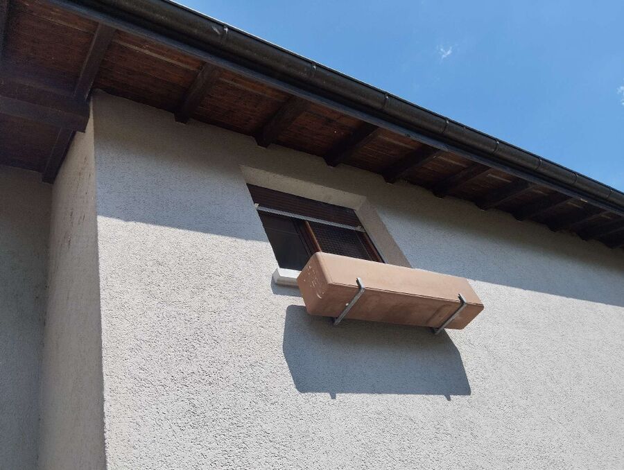 ruche abeille maison que faire