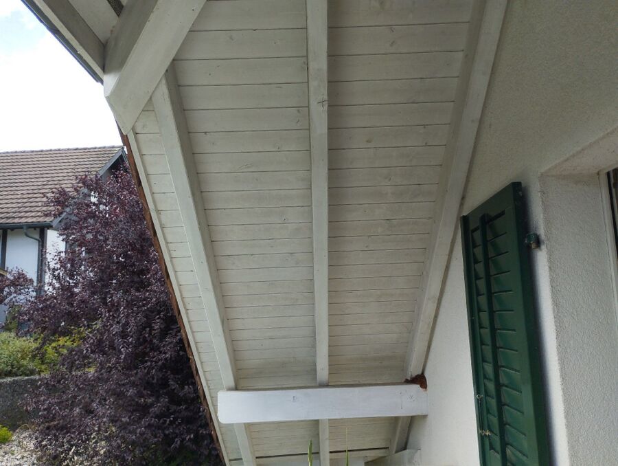 essaim d abeille enlevement