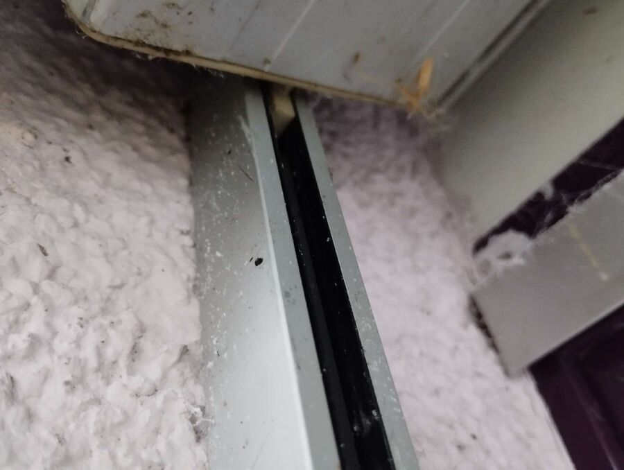 ruche abeille maison que faire