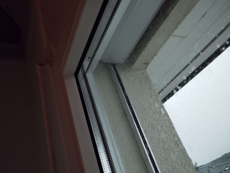 ruche abeille maison que faire