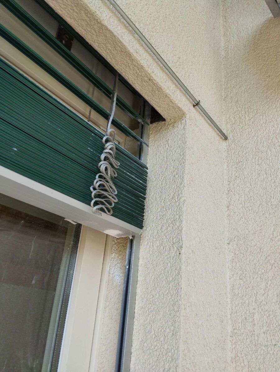 essaim d abeille enlevement