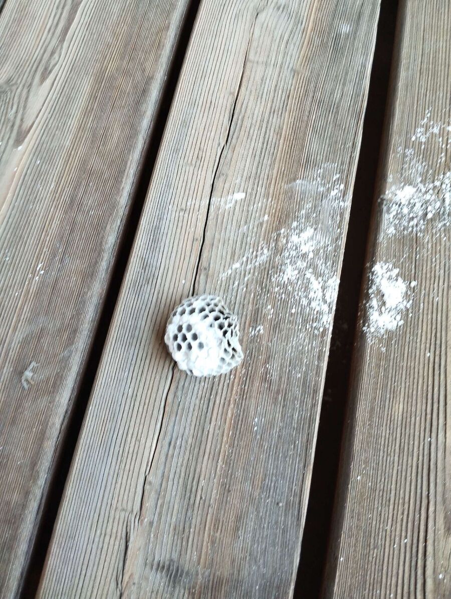 ruche abeille maison que faire