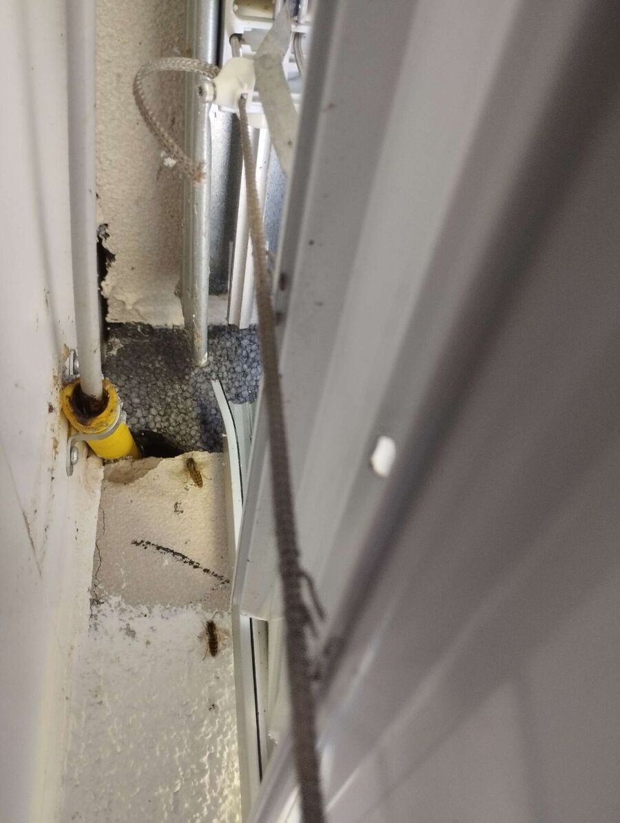 enlever un nid d abeille