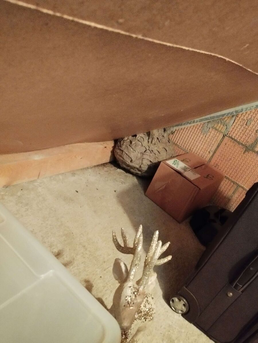 enlever un nid d abeille