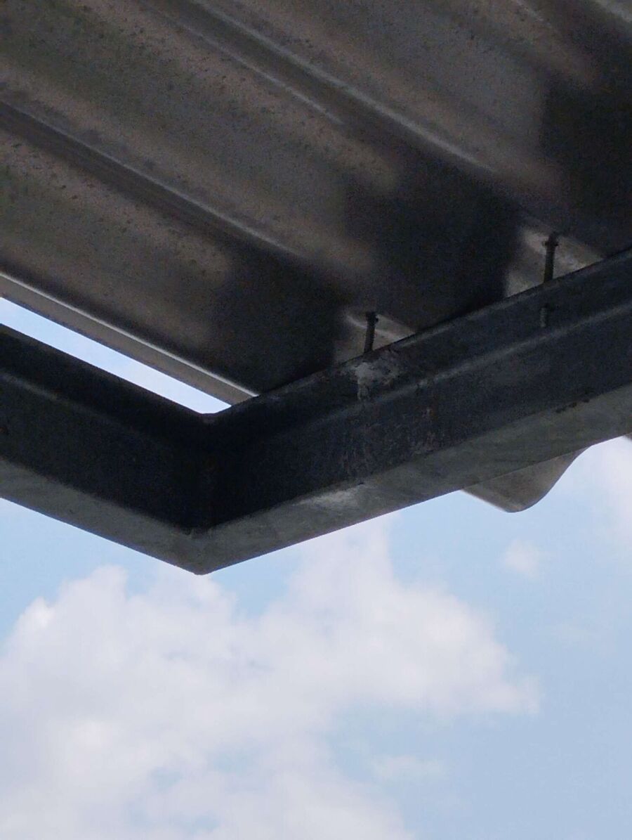 essaim d abeille enlevement