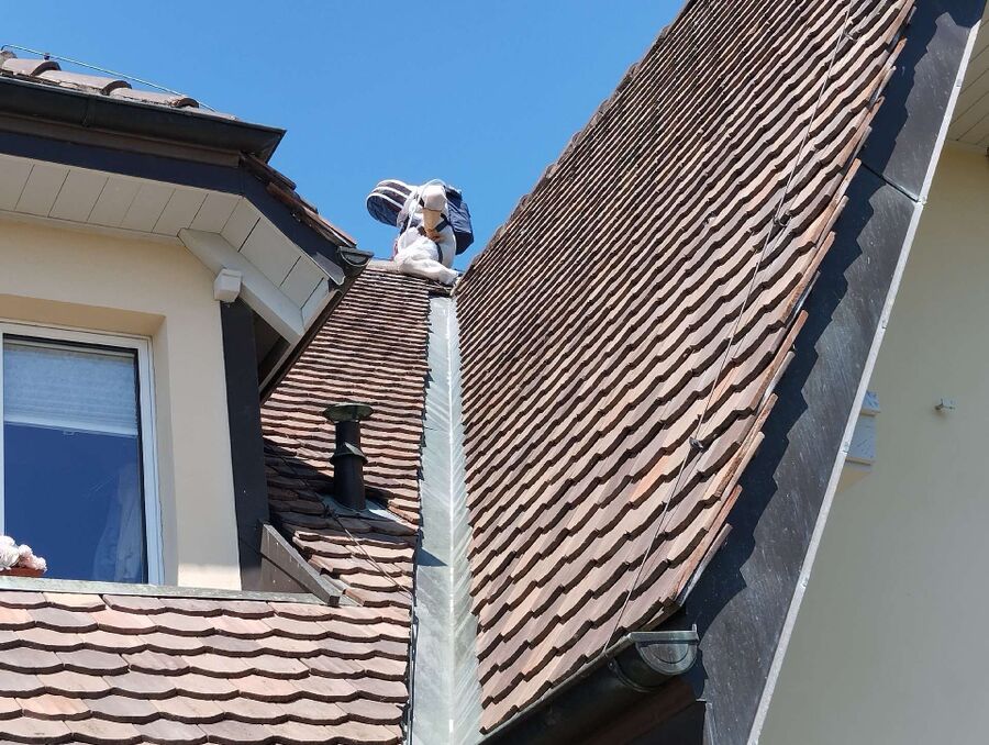 nid d abeille que faire