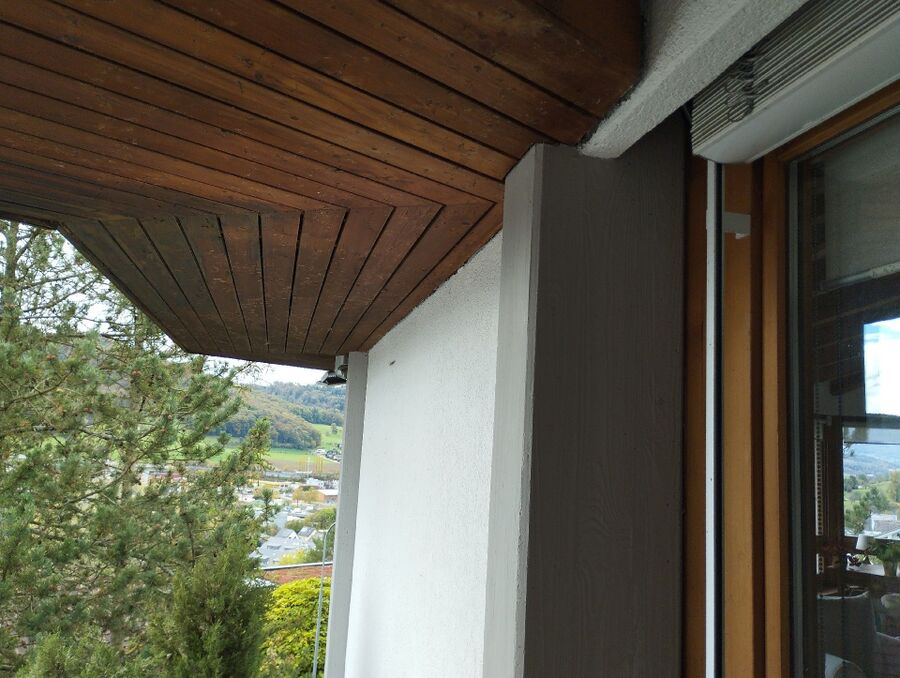 ruche abeille maison que faire