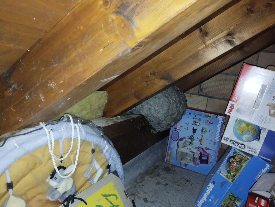 nid d abeille que faire