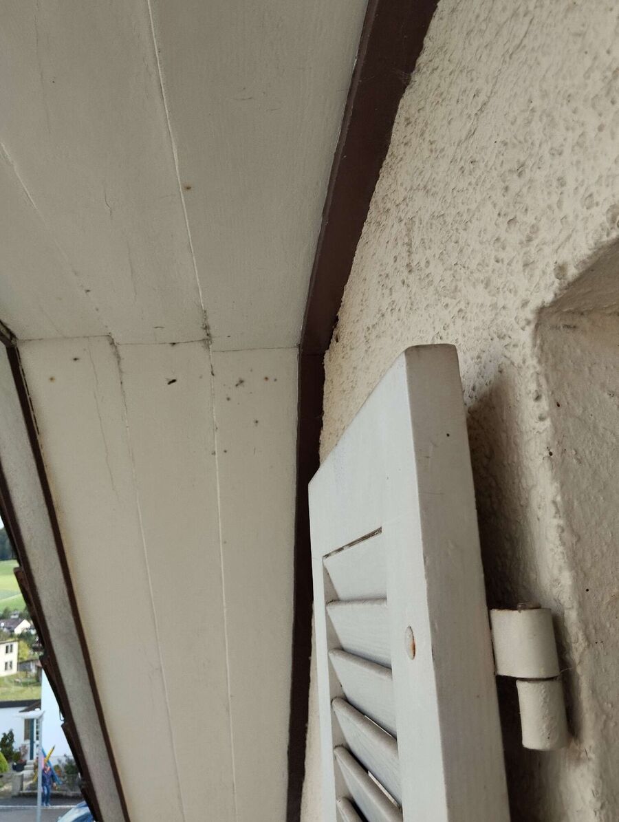 enlever un nid d abeille