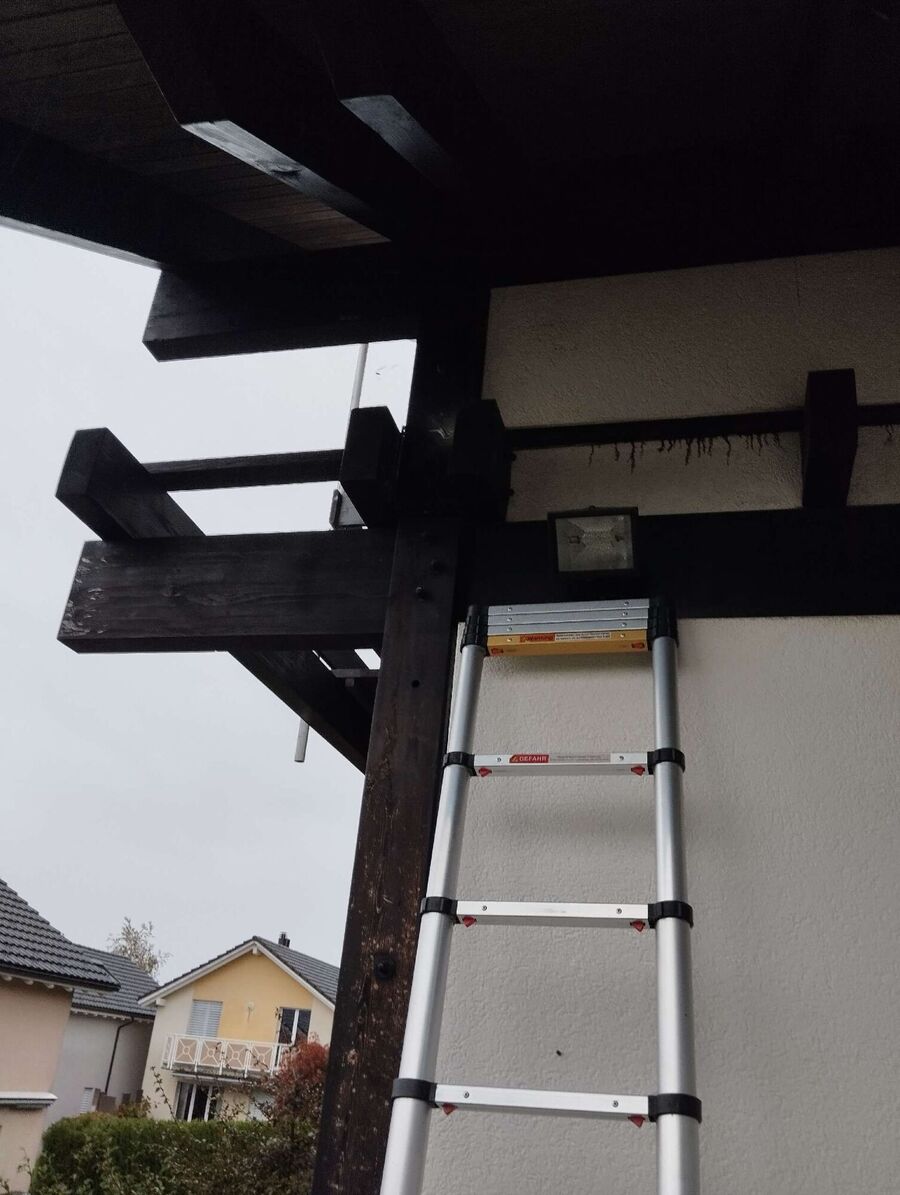 ruche abeille maison que faire