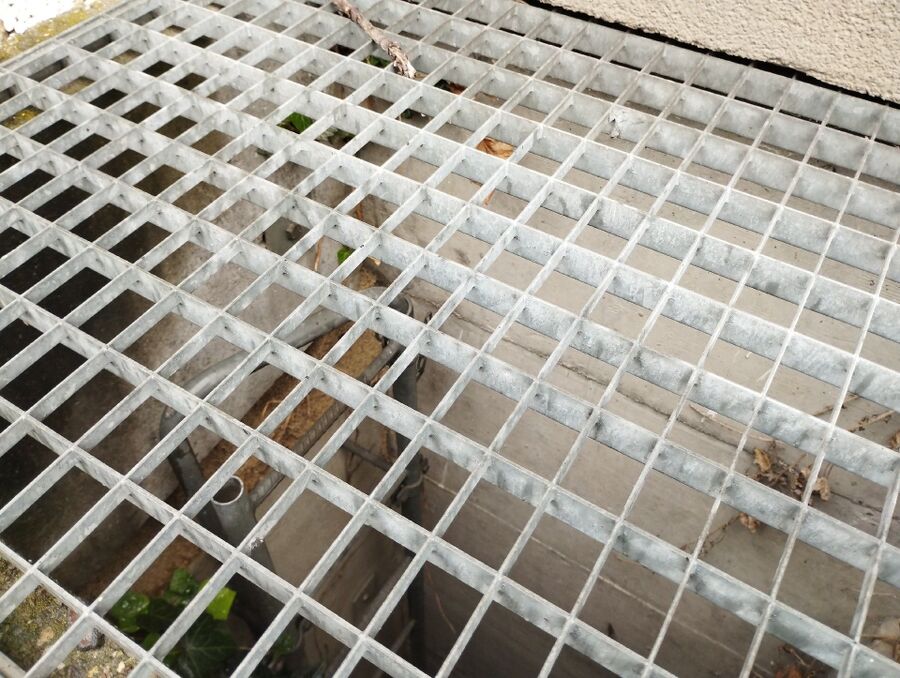 essaim d abeille enlevement