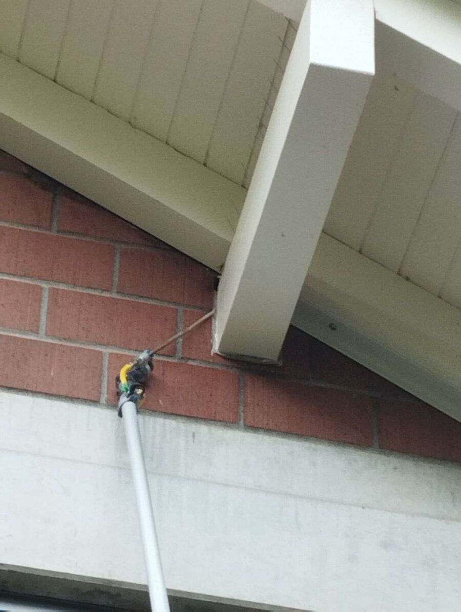 nid d abeille que faire