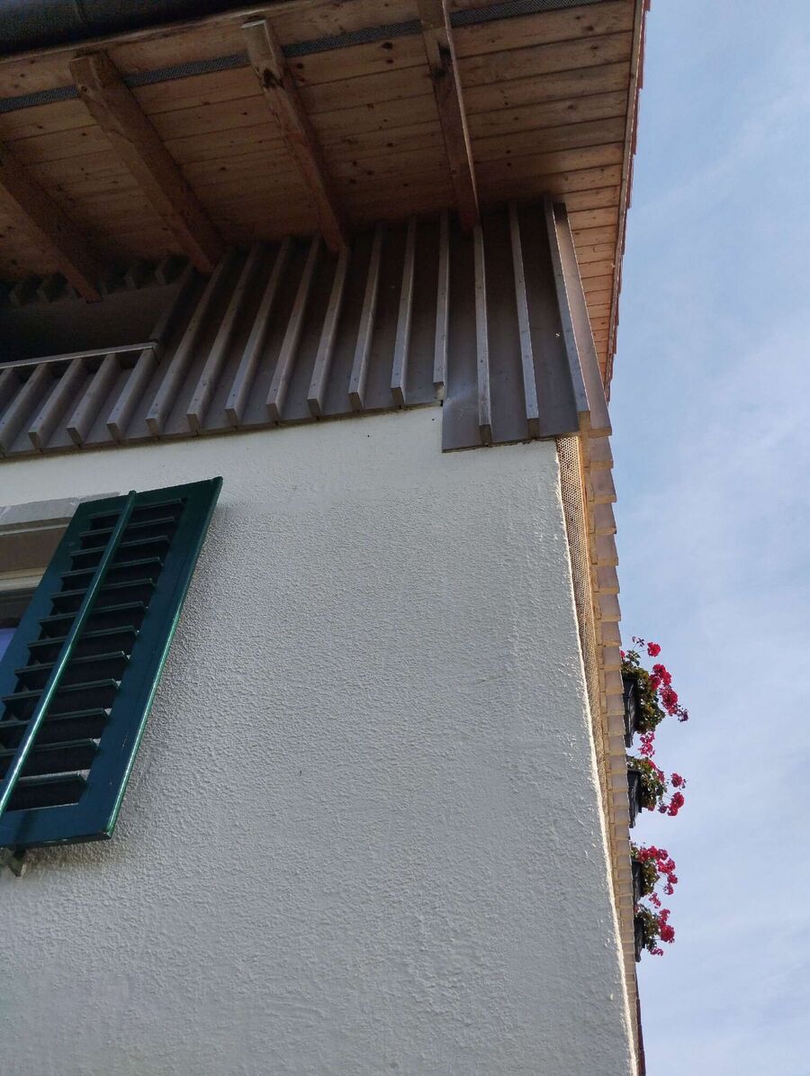 ruche abeille maison que faire