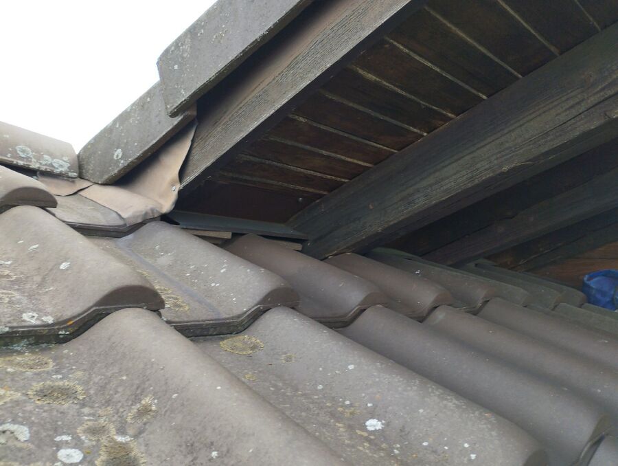 nid d abeille que faire