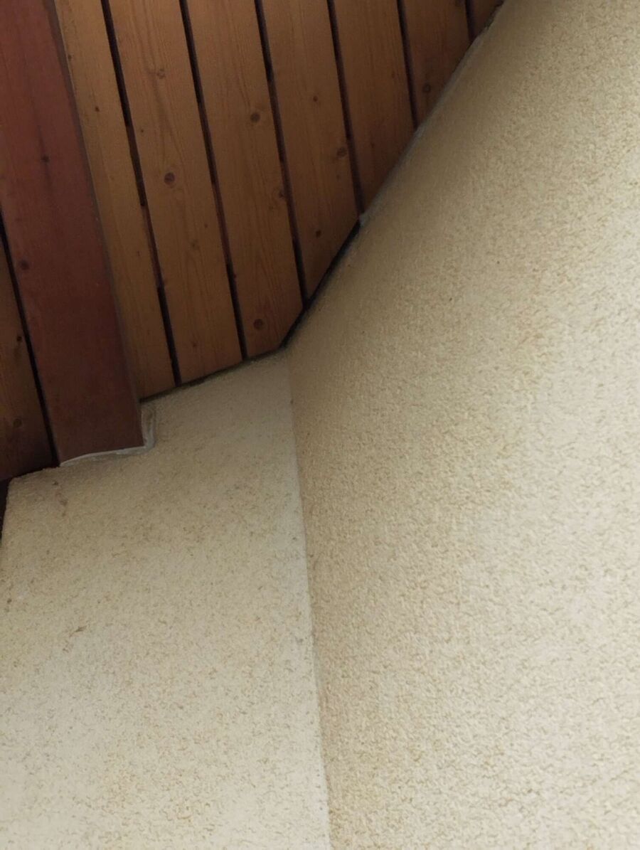 essaim d abeille enlevement